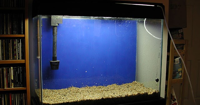 Detail Cat Untuk Styrofoam Aquarium Nomer 2