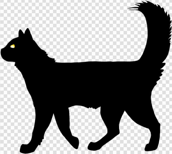 Detail Cat Vector Png Nomer 26