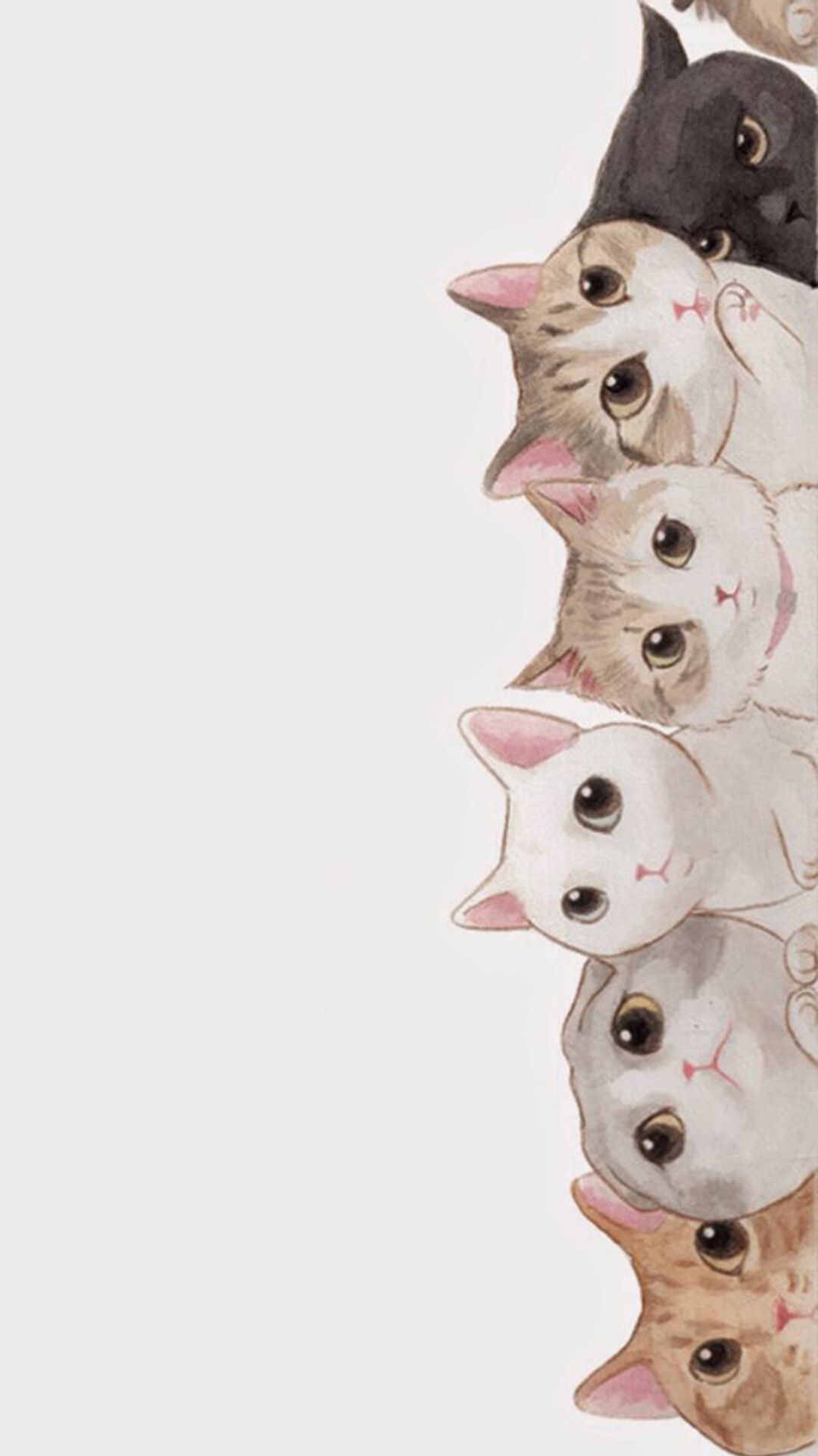 Detail Cat Wallpaper Iphone Nomer 13