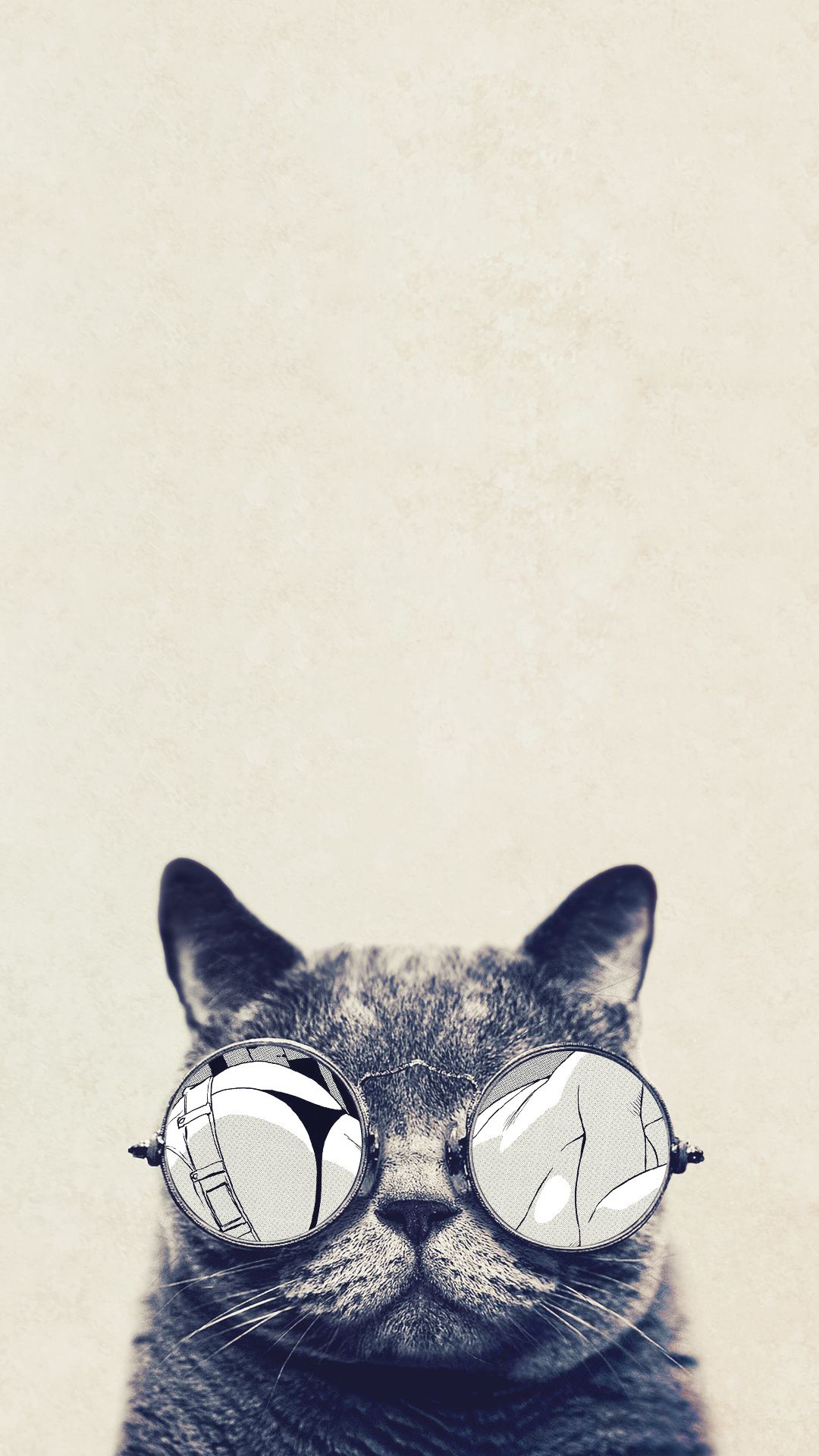 Detail Cat Wallpaper Iphone Nomer 14