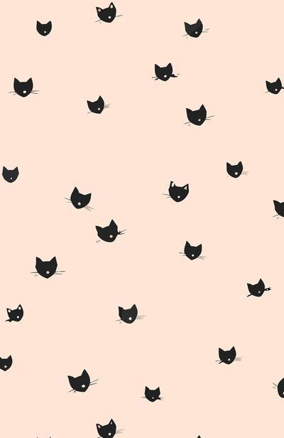 Detail Cat Wallpaper Iphone Nomer 21