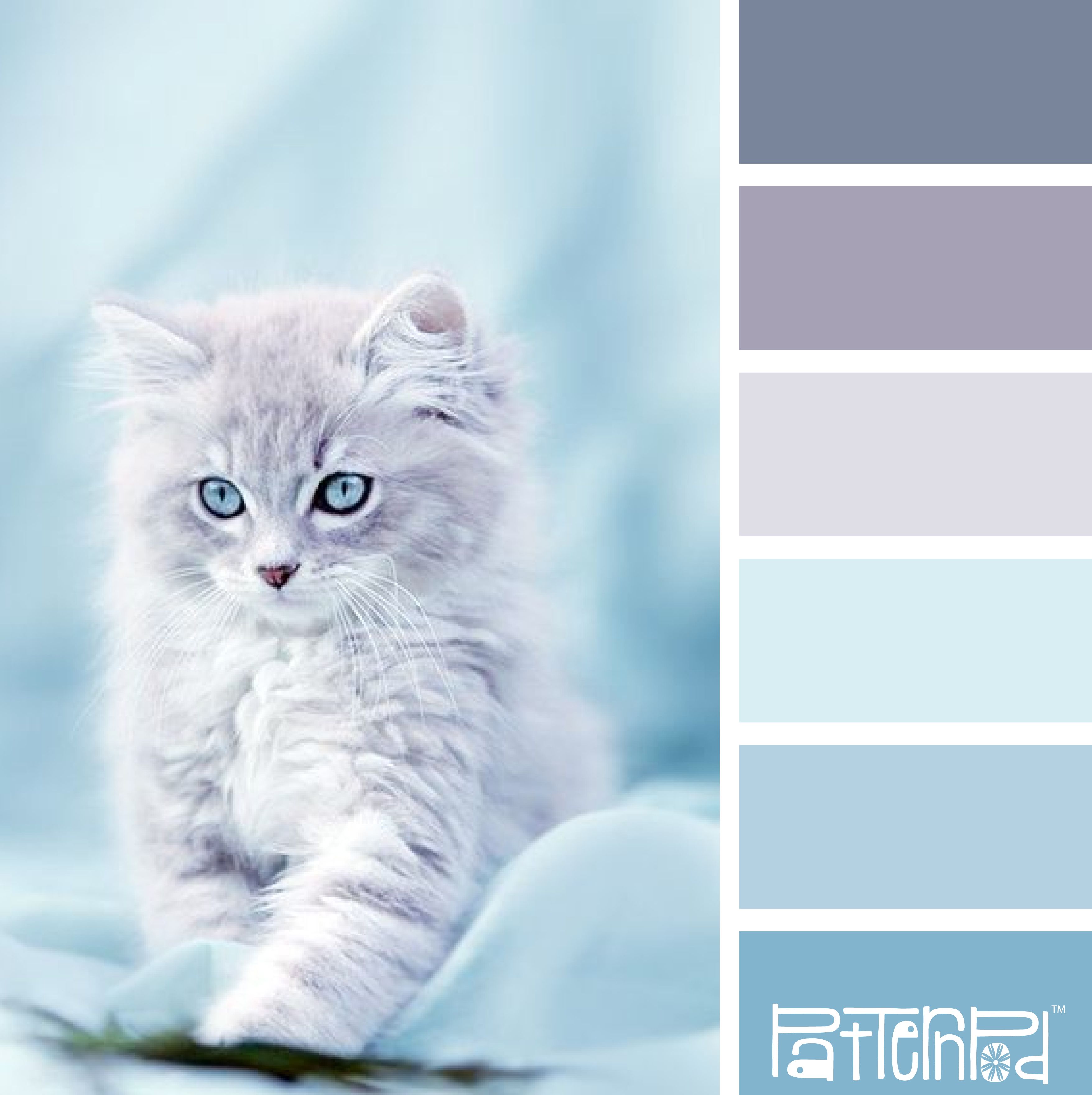 Detail Cat Warna Baby Blue Nomer 7