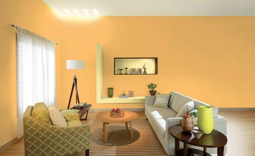 Detail Cat Warna Orange Nomer 23