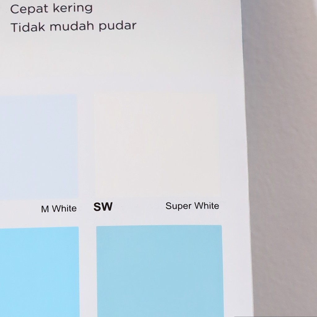 Detail Cat Warna Putih Salju Nomer 18