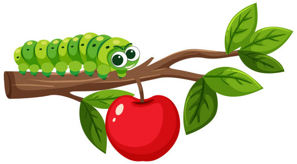 Detail Catapillar Clipart Nomer 42