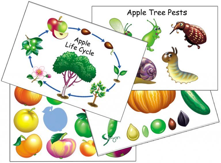 Detail Caterpillar Apple Leaf Game Nomer 52