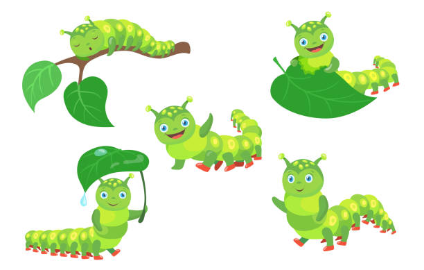 Detail Caterpillar Images Clip Art Nomer 22