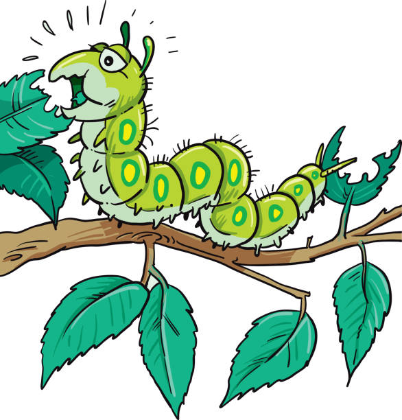 Detail Caterpillar Images Clip Art Nomer 52