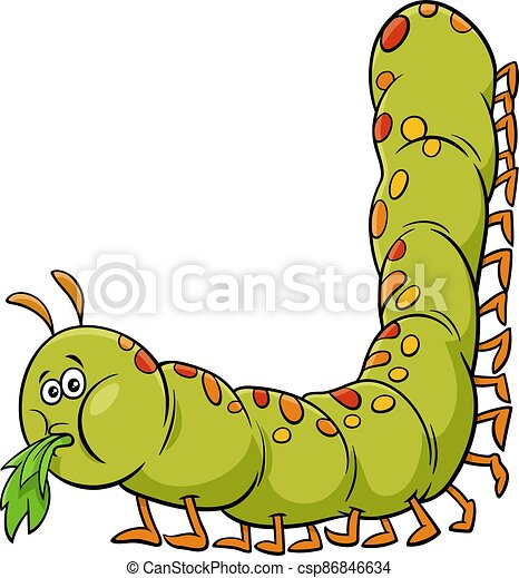 Detail Caterpillar Insect Images Nomer 25