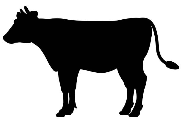 Detail Cattle Clipart Nomer 21