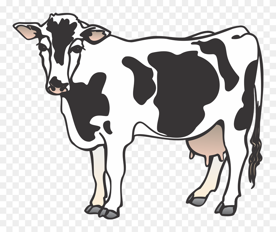 Detail Cattle Clipart Nomer 3