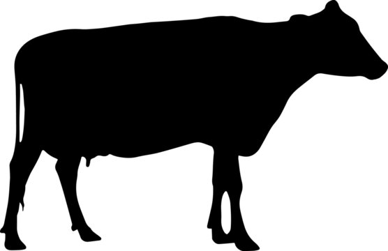 Detail Cattle Clipart Nomer 34