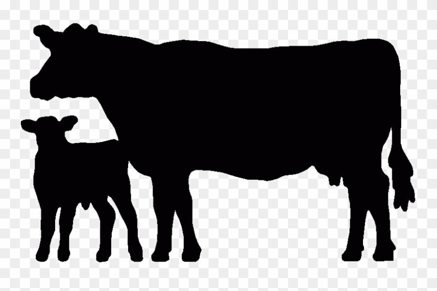 Detail Cattle Clipart Nomer 38