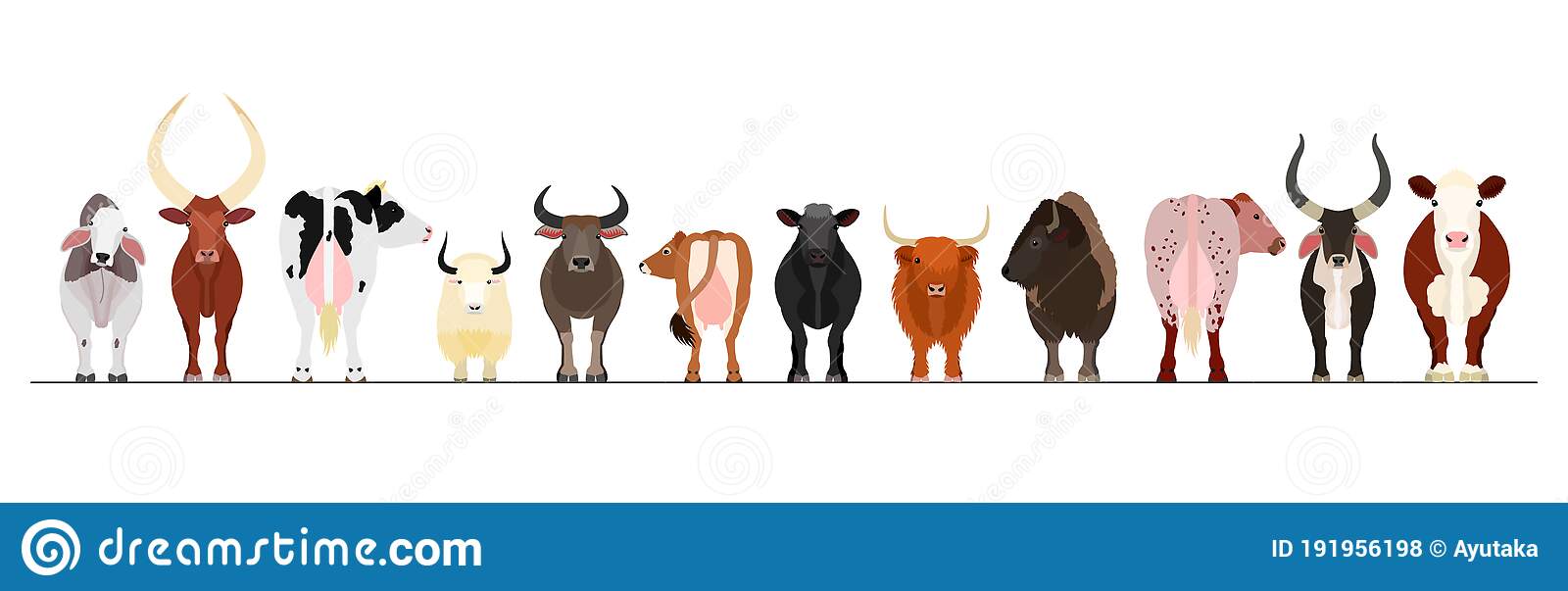 Detail Cattle Clipart Nomer 42