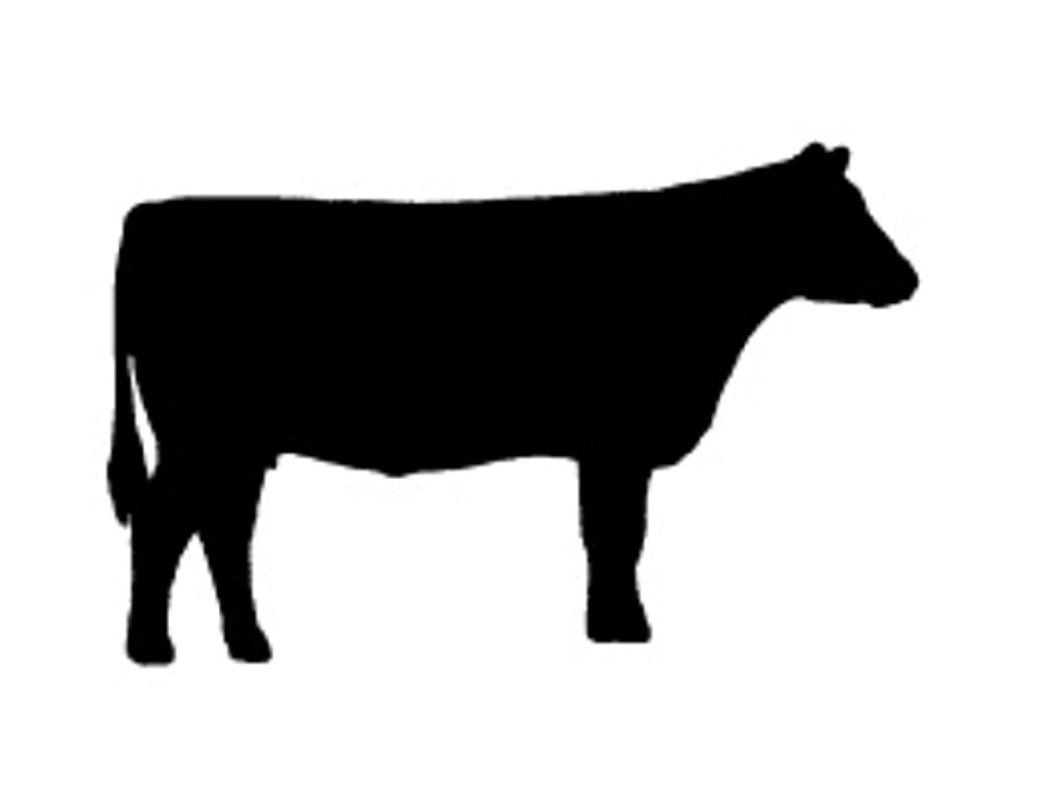 Cattle Silhouette Clip Art - KibrisPDR