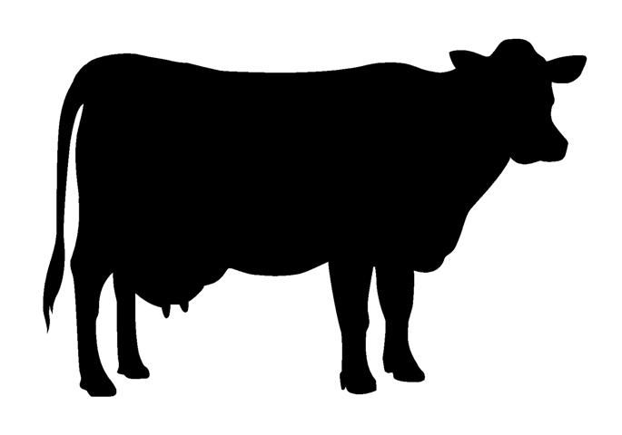 Detail Cattle Silhouette Clip Art Nomer 2