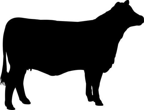 Detail Cattle Silhouette Clip Art Nomer 14