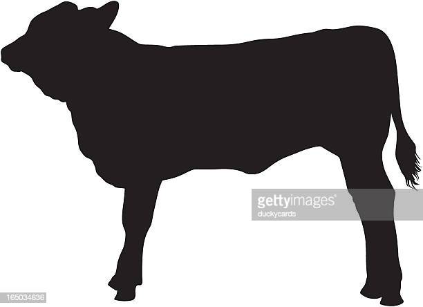 Detail Cattle Silhouette Clip Art Nomer 7