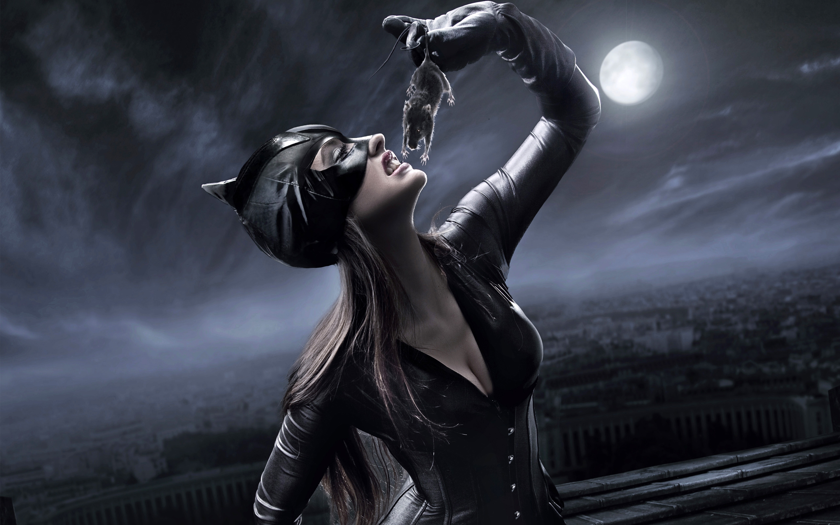 Detail Catwoman Wallpaper Nomer 12