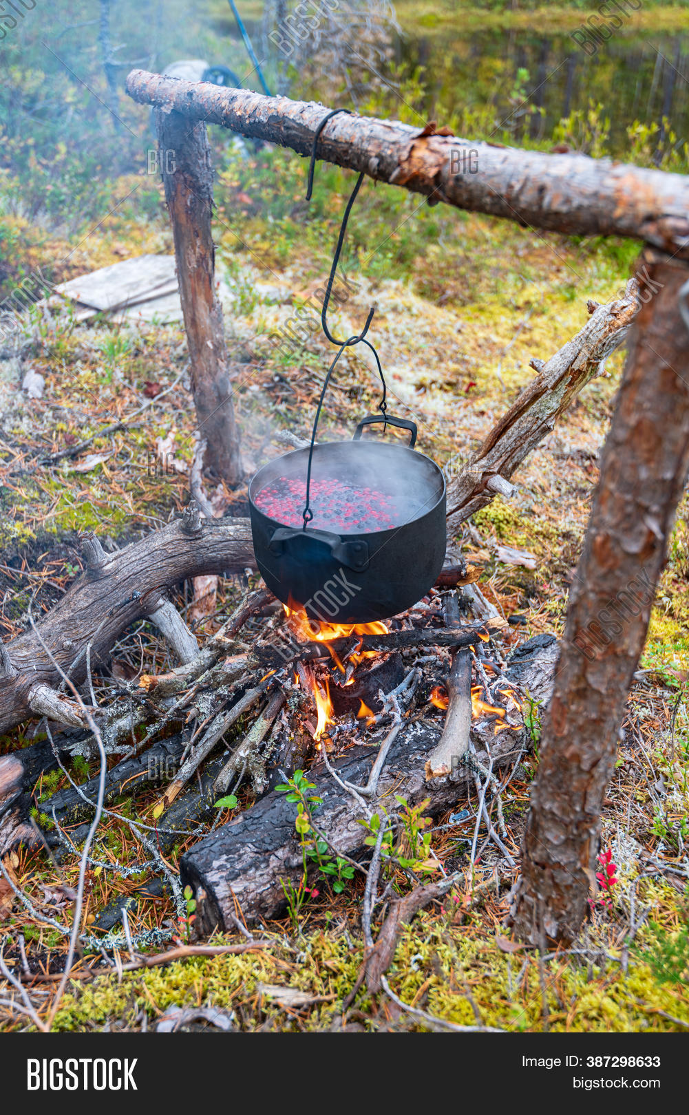 Detail Cauldron Over Fire Nomer 33