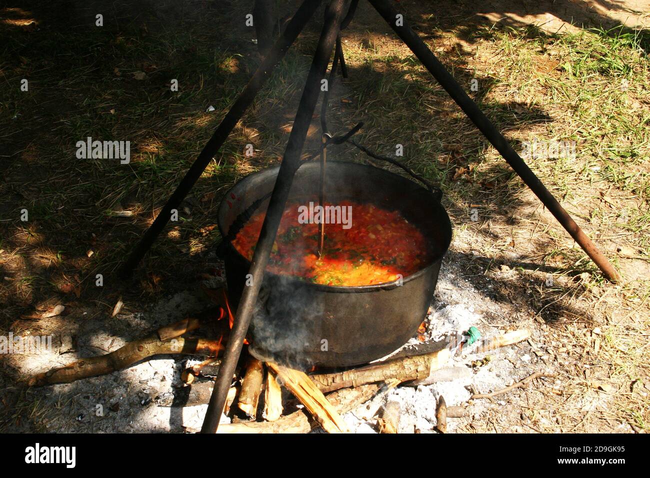 Detail Cauldron Over Fire Nomer 47