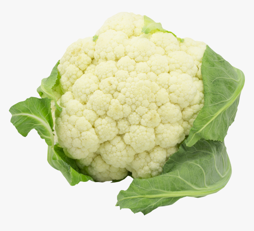 Detail Cauliflower Clipart Nomer 11