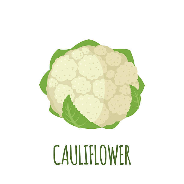 Detail Cauliflower Clipart Nomer 22