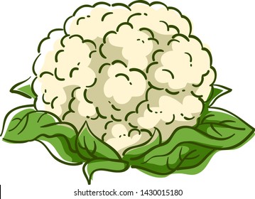 Detail Cauliflower Clipart Nomer 30