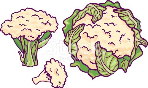 Detail Cauliflower Clipart Nomer 32