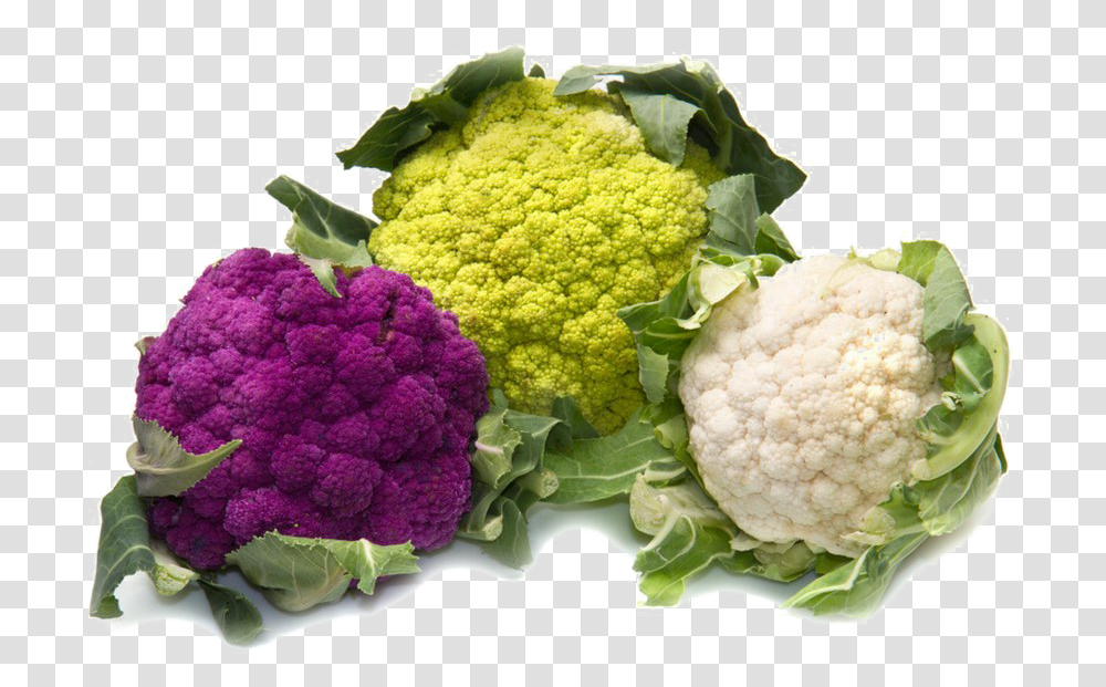 Detail Cauliflower Clipart Nomer 33