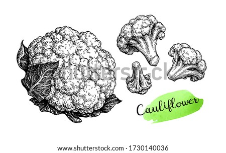 Detail Cauliflower Clipart Nomer 48