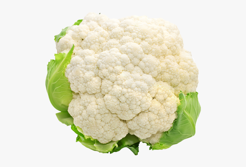 Detail Cauliflower Clipart Nomer 7