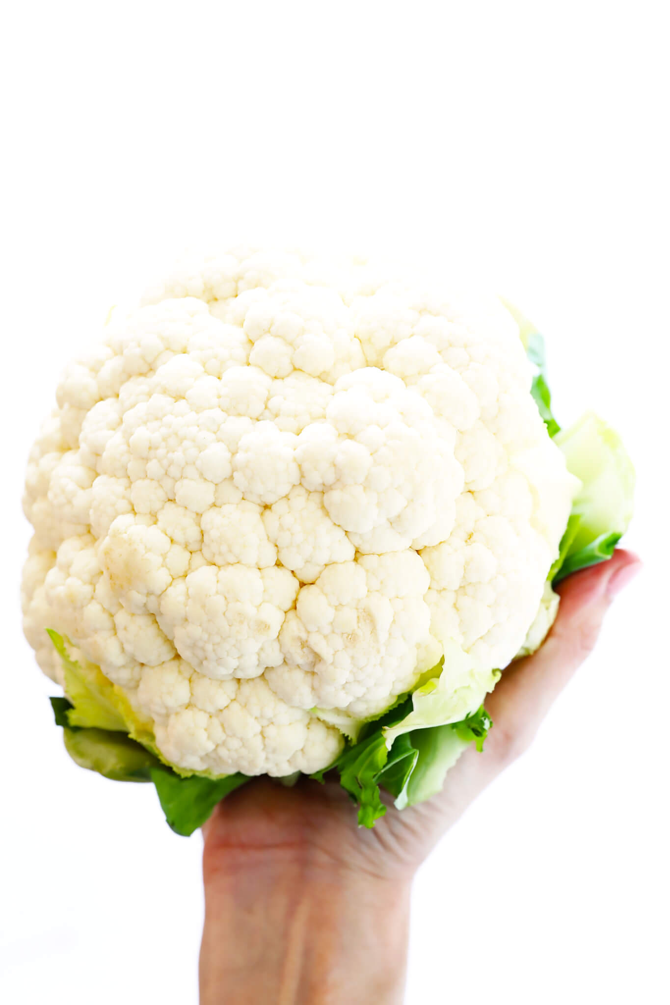 Detail Cauliflower Images Nomer 46