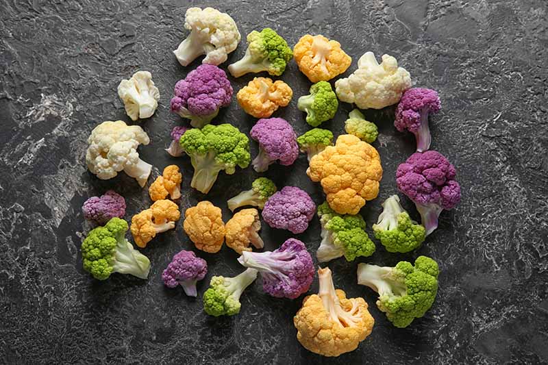 Detail Cauliflower Images Nomer 54