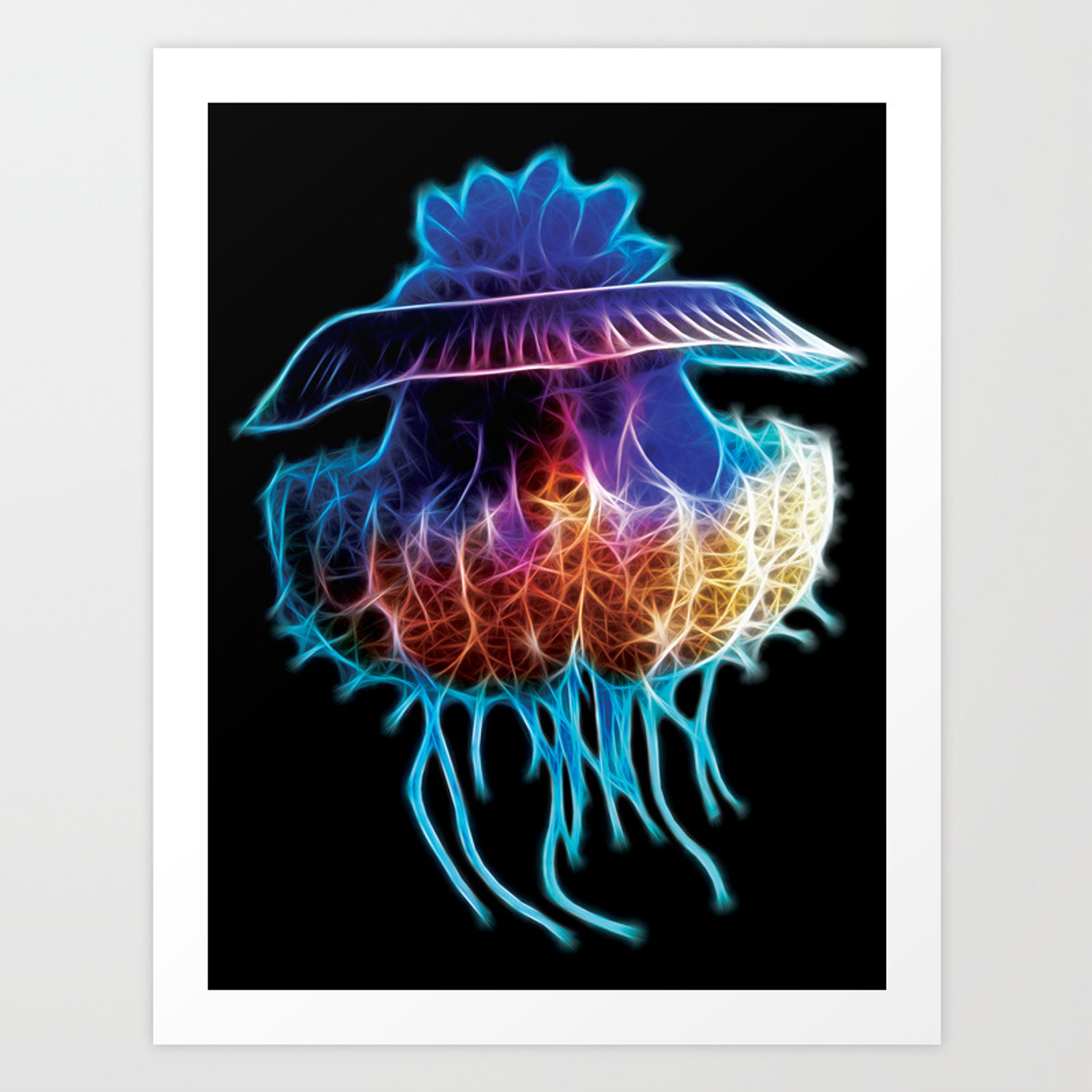 Detail Cauliflower Jellyfish Nomer 54