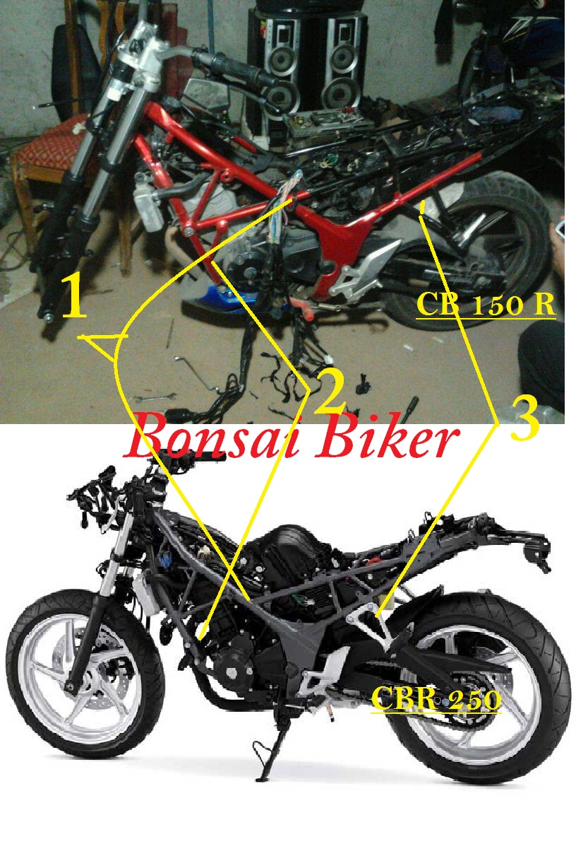 Detail Cbr150r Vs Cbr250r Nomer 42
