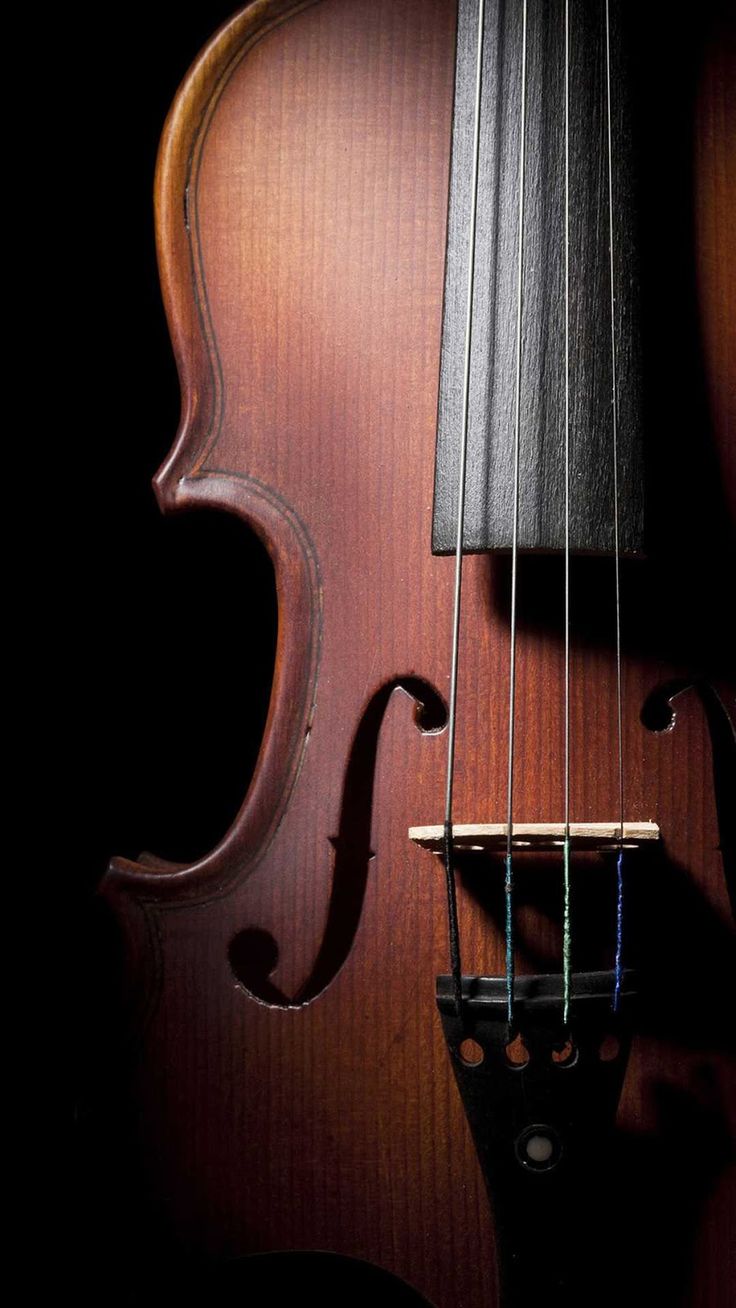 Detail Cello Wallpaper Nomer 18