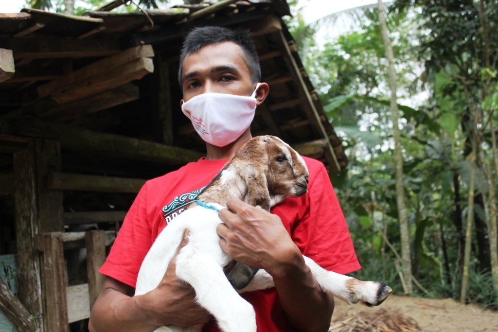 Detail Cempe Anak Kambing Nomer 44
