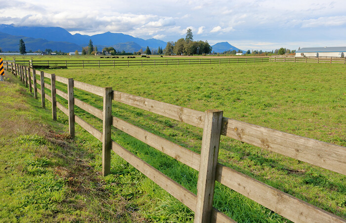 Detail Centar Fence Nomer 8