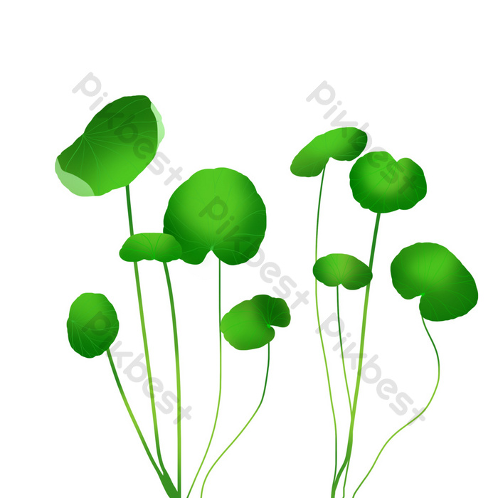 Detail Centella Asiatica Png Nomer 46