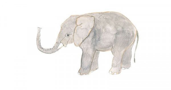 Detail Cerita Kancil Dan Gajah Nomer 56