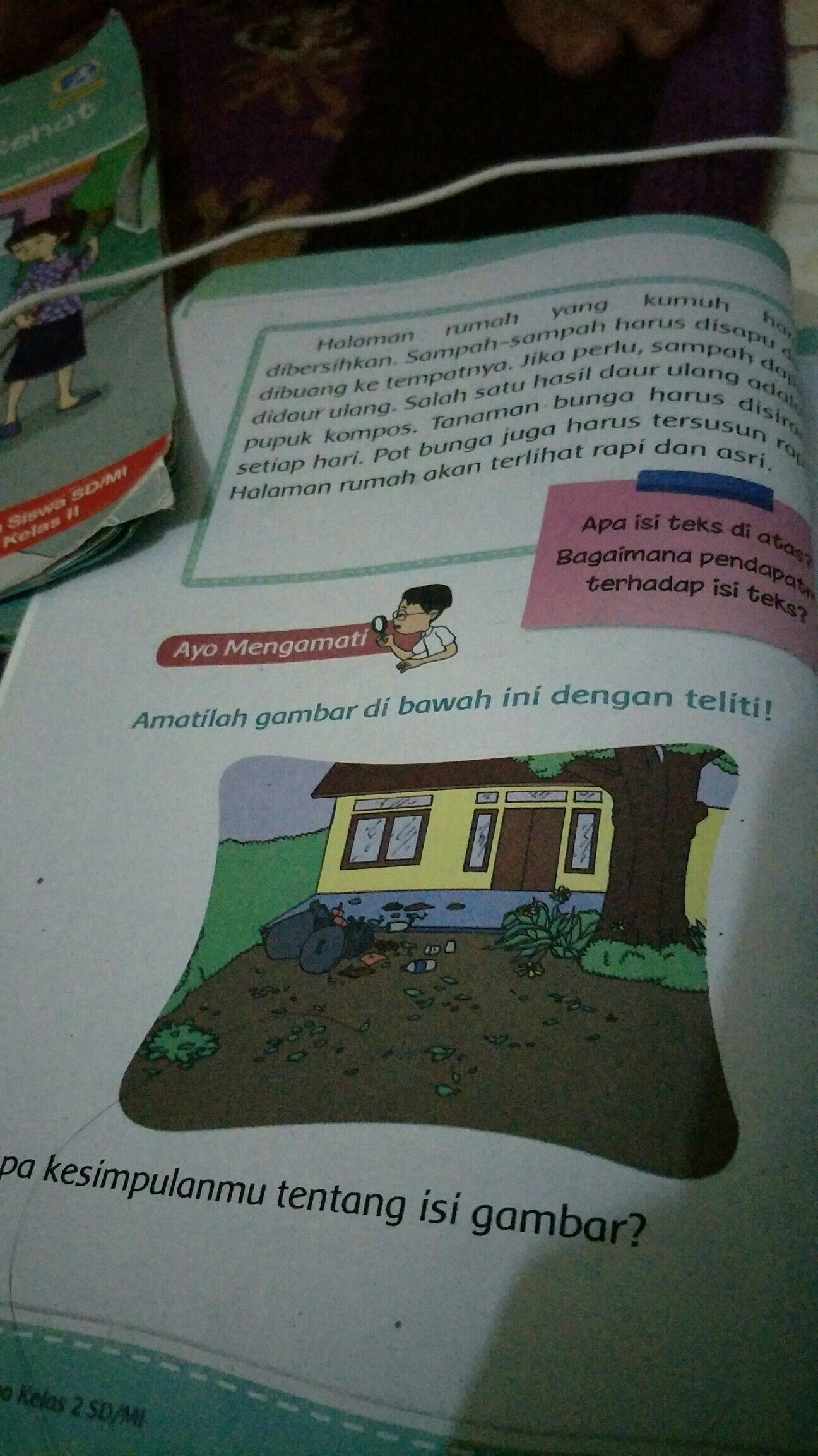 Detail Cerita Tentang Halaman Rumah Yang Bersih Nomer 8