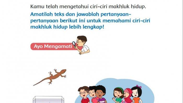 Detail Ceritakan Maksud Gambar Di Atas Sesuai Pengamatanmu Nomer 47