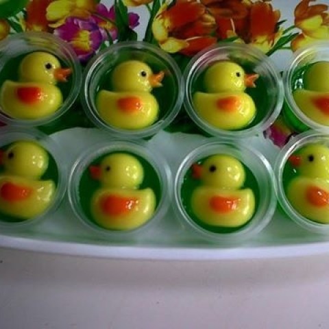 Detail Cetakan Puding Bebek Nomer 24