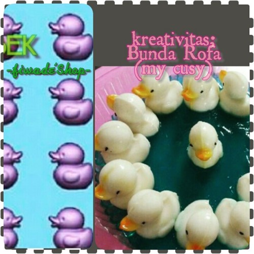 Detail Cetakan Puding Bebek Nomer 42