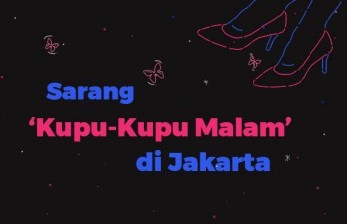 Detail Cewe Kupu Kupu Malam Nomer 20