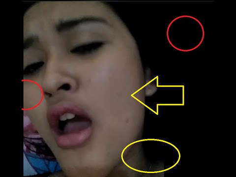 Detail Cewe Kupu Kupu Malam Nomer 4