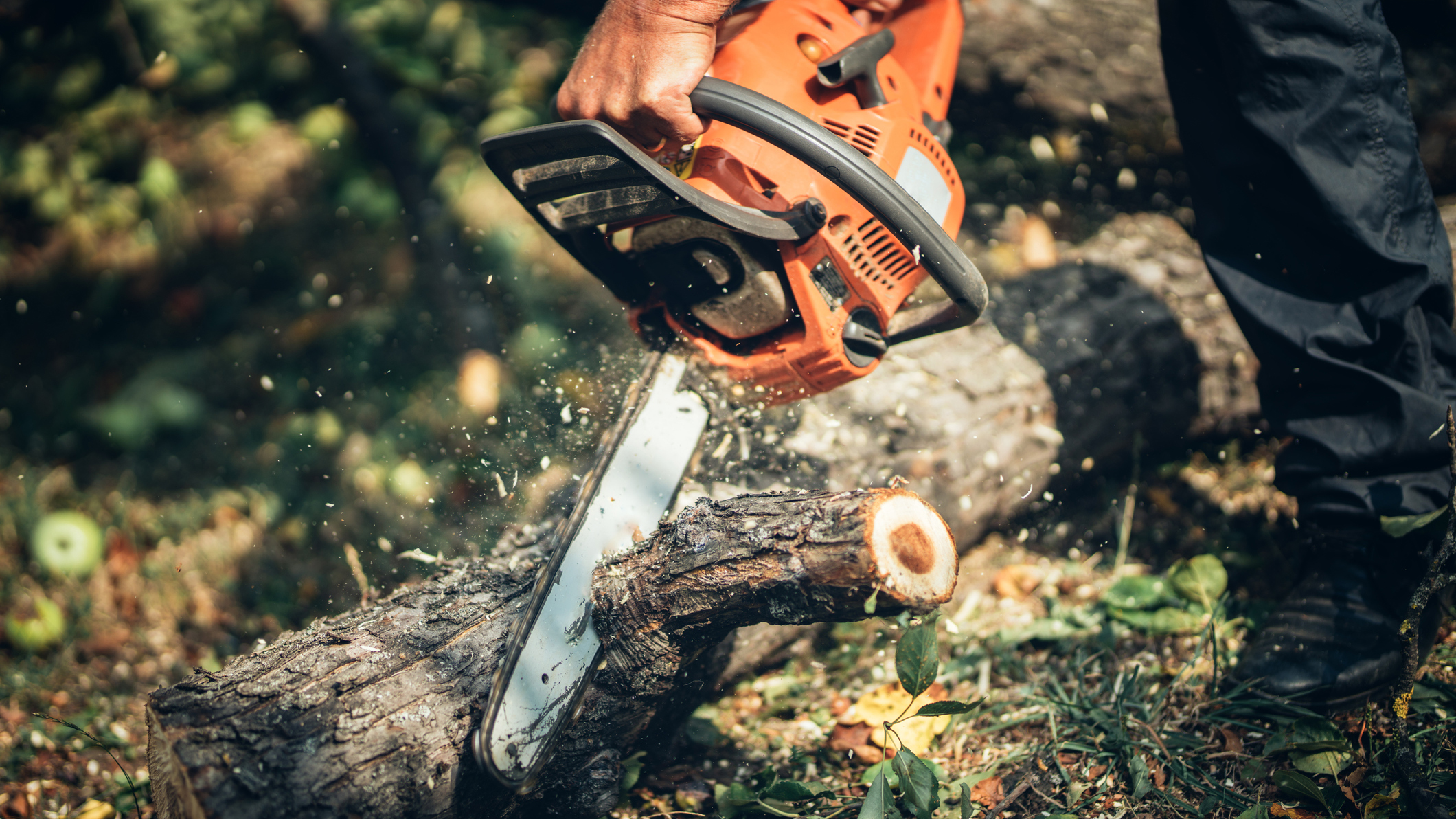 Detail Chainsaw Image Nomer 18