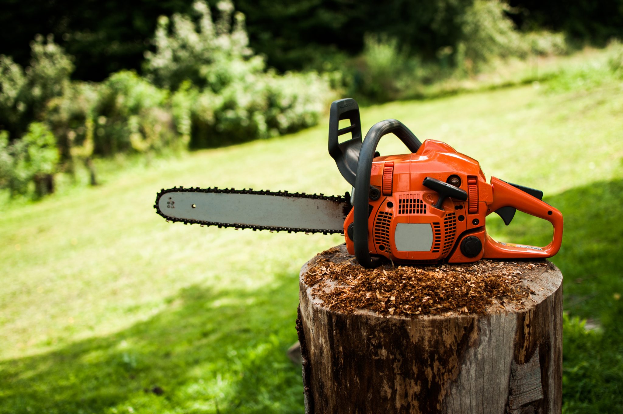Detail Chainsaw Image Nomer 7