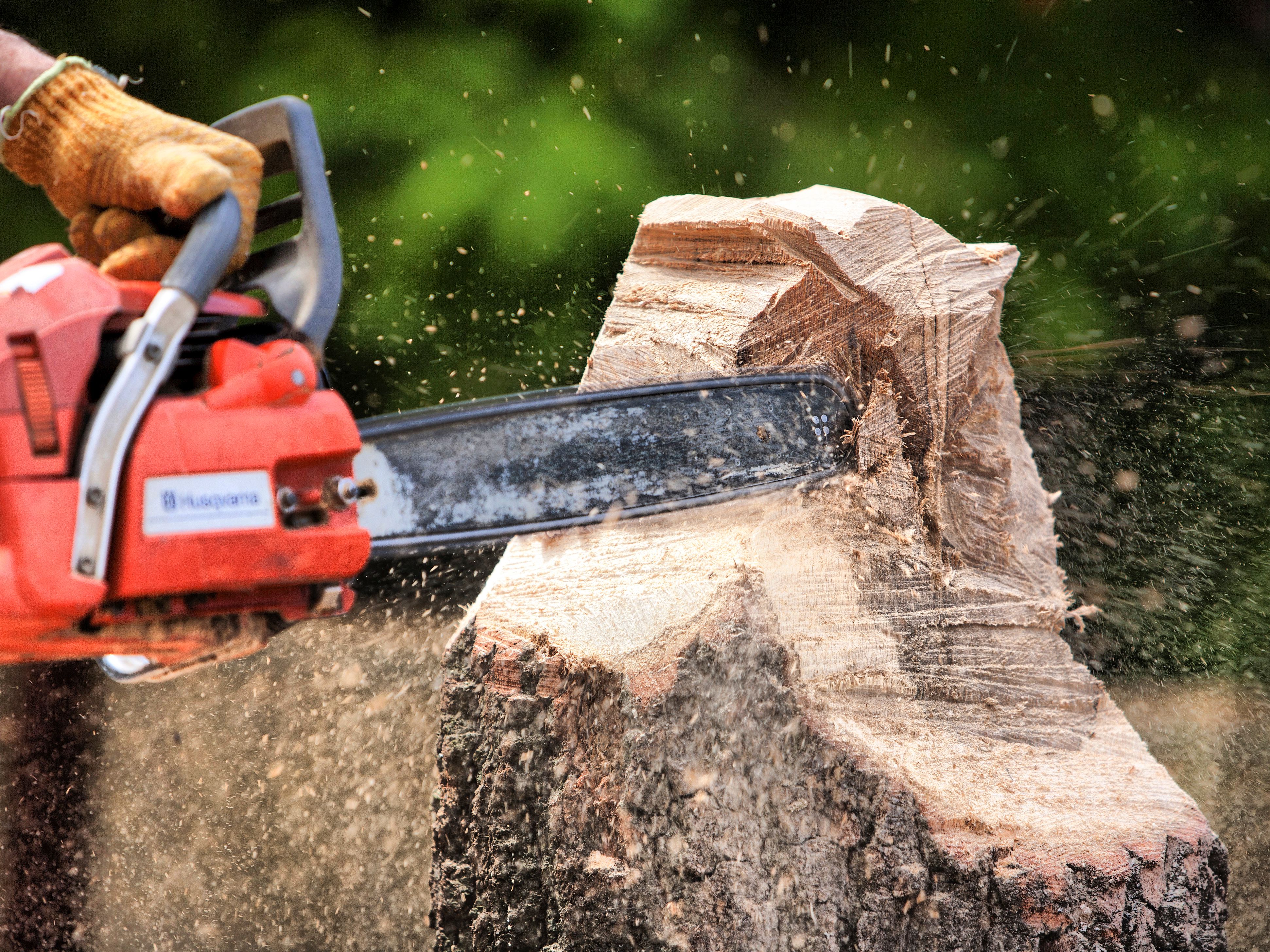 Detail Chainsaw Picture Nomer 45